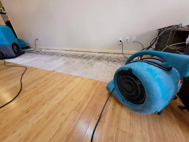 Professional Structural Drying technician working in Brownville, ME